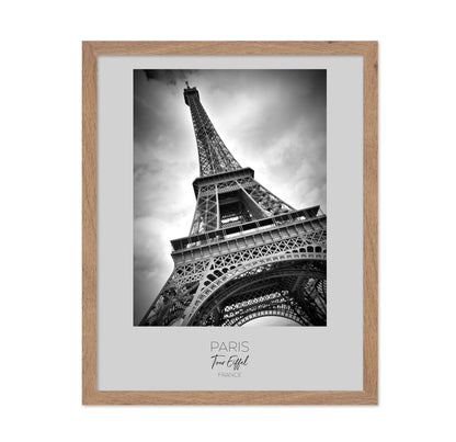Eiffel Tower View