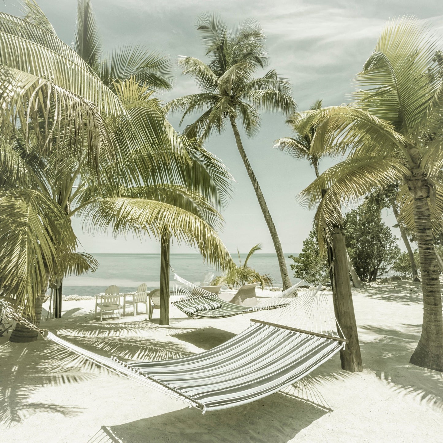 Tropical Hammock Beach