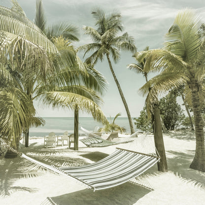 Tropical Hammock Beach