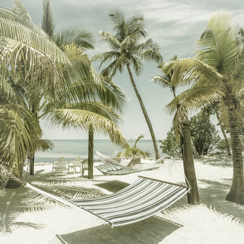 Tropical Hammock Beach