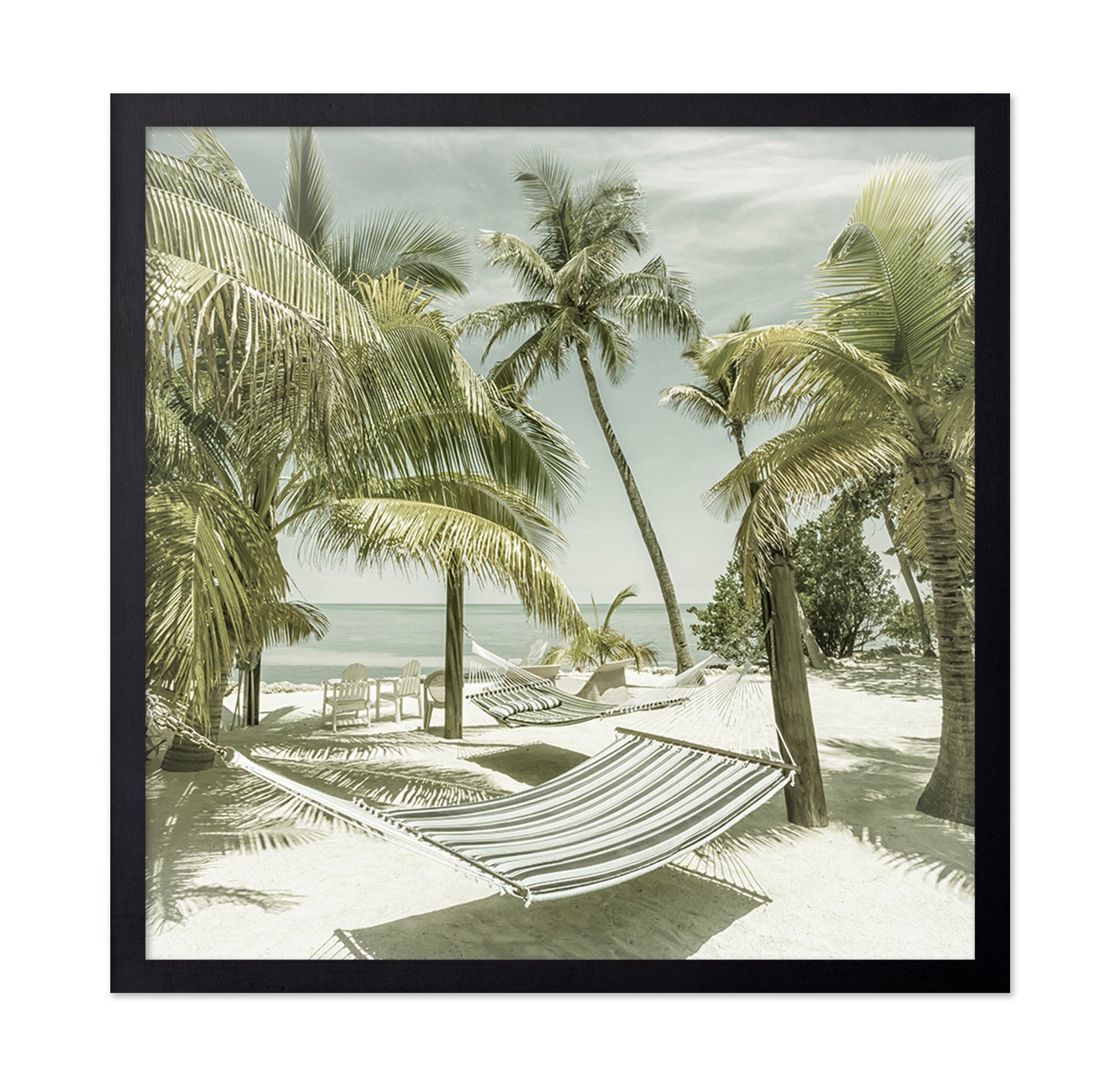 Tropical Hammock Beach