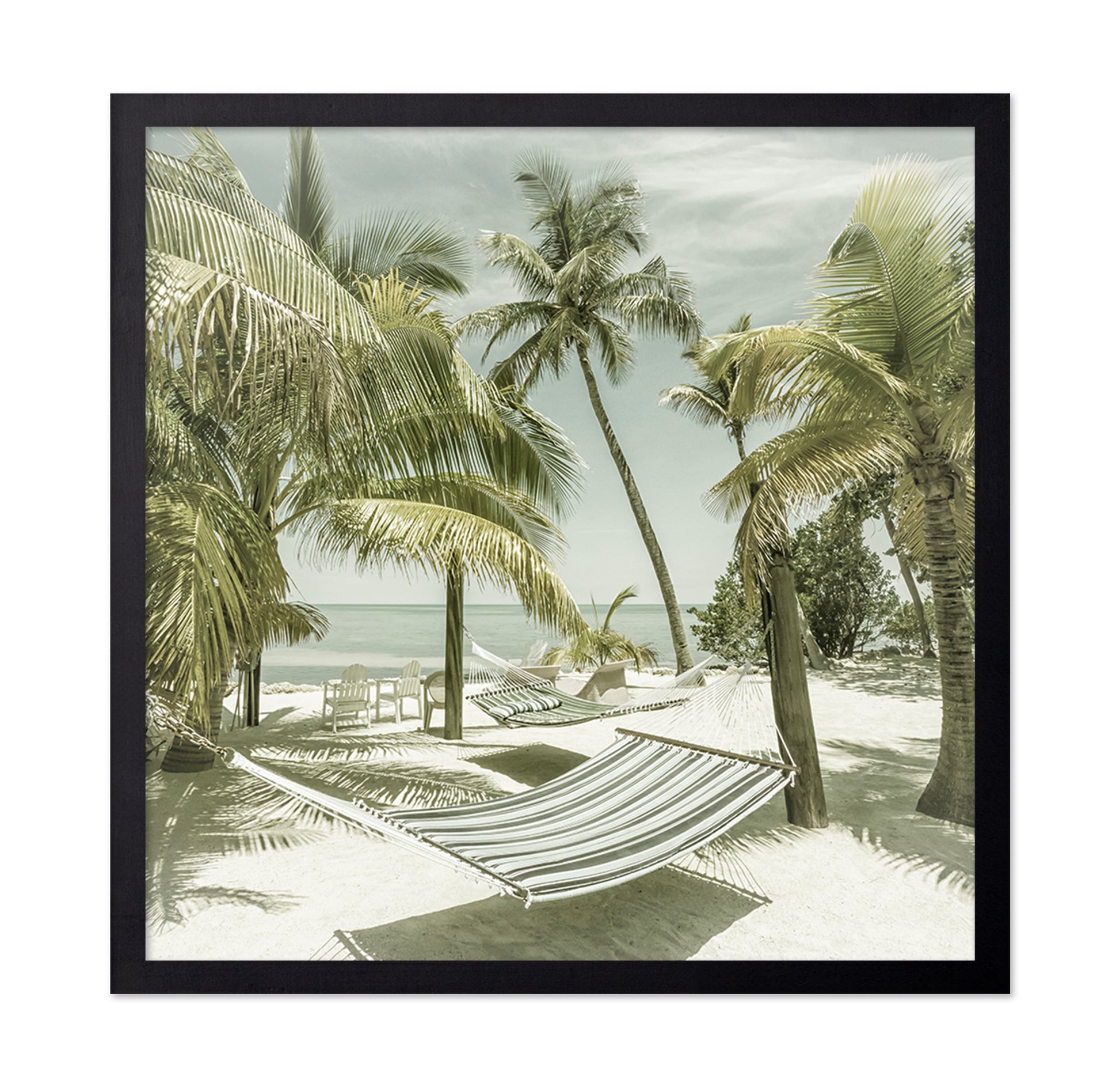 Tropical Hammock Beach