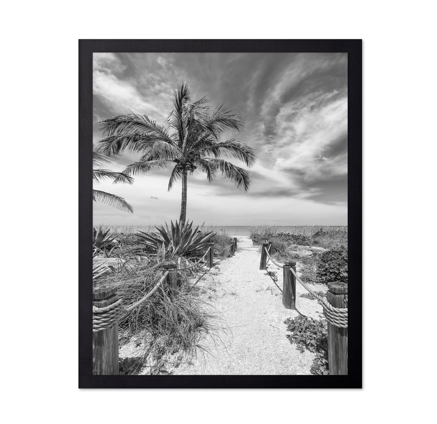 Tropical Beach Path