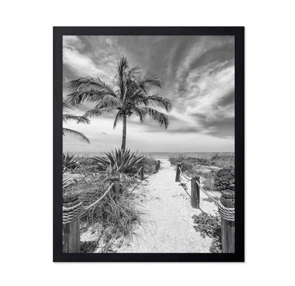 Tropical Beach Path