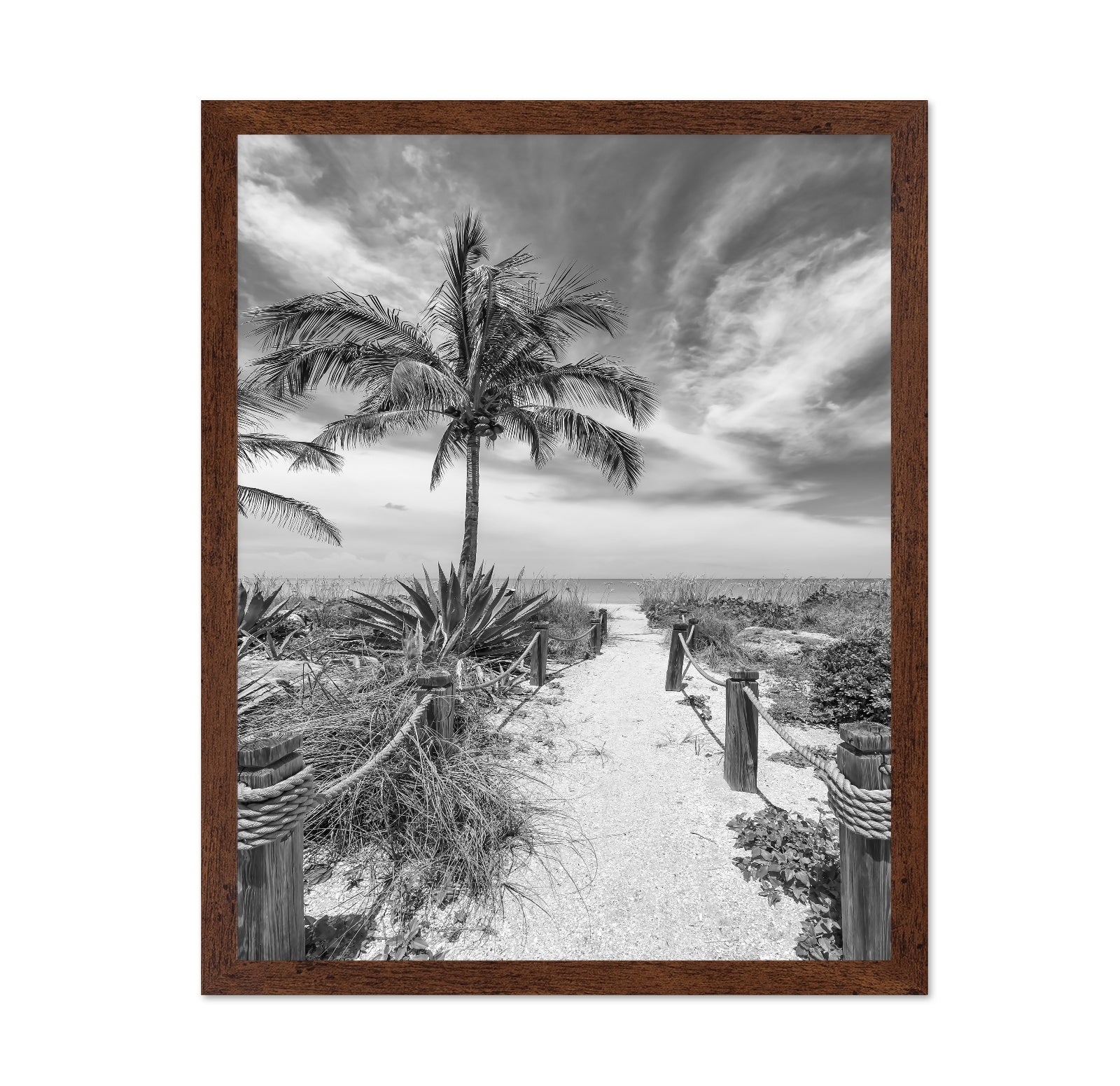 Tropical Beach Path