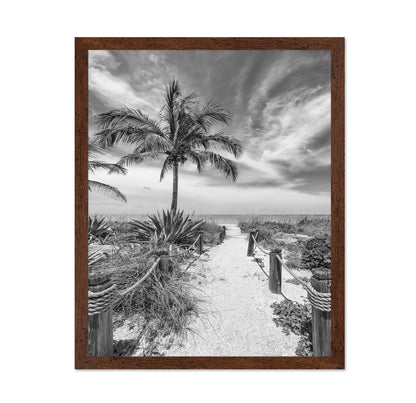 Tropical Beach Path