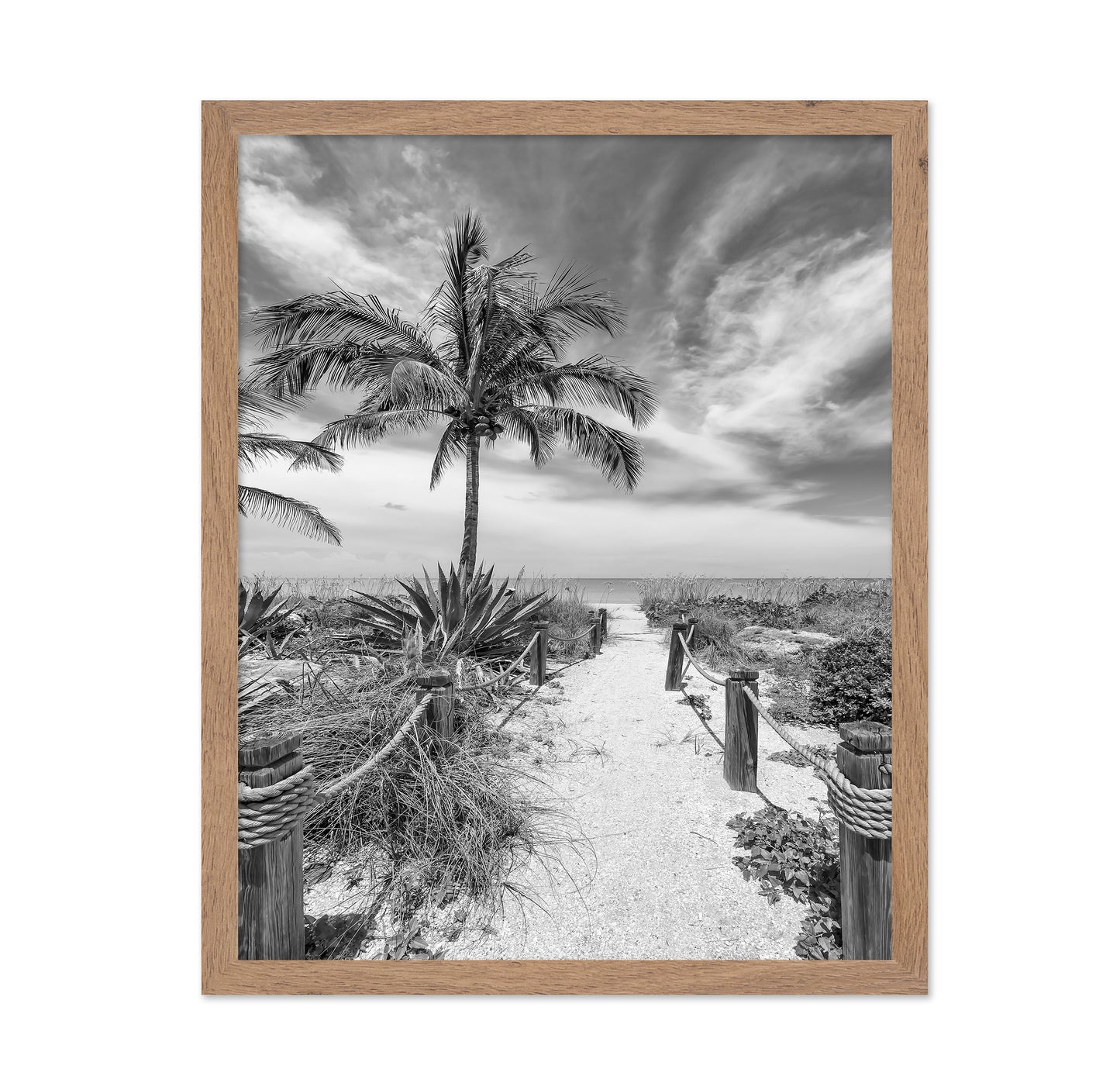 Tropical Beach Path
