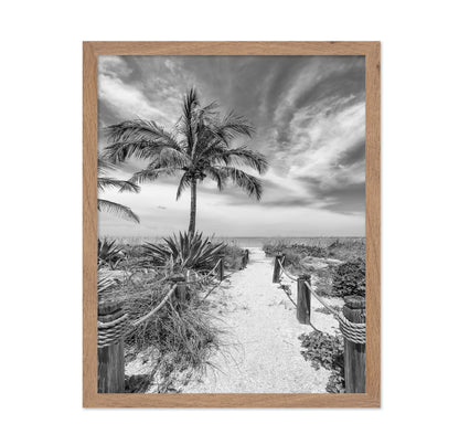 Tropical Beach Path