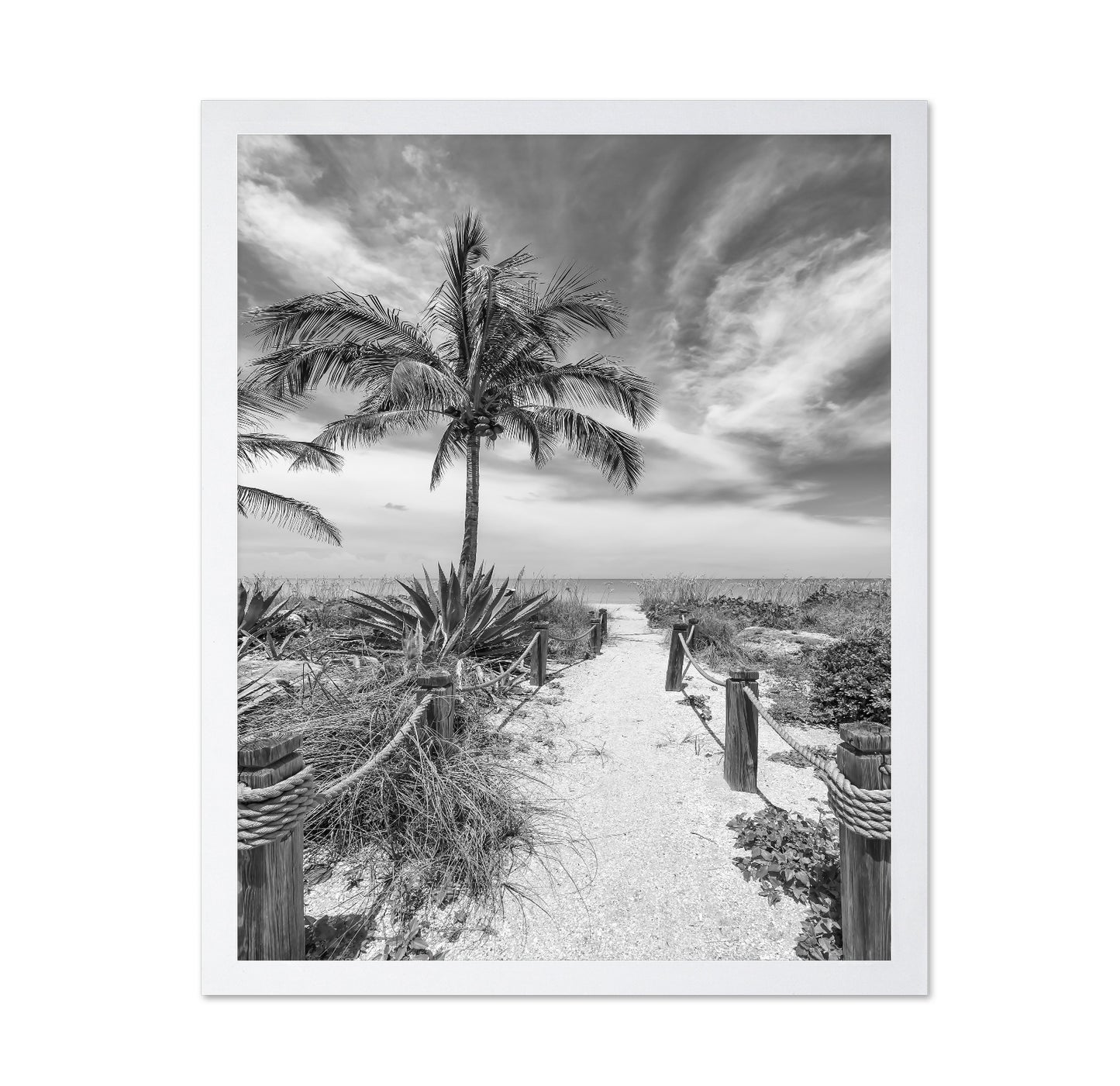 Tropical Beach Path