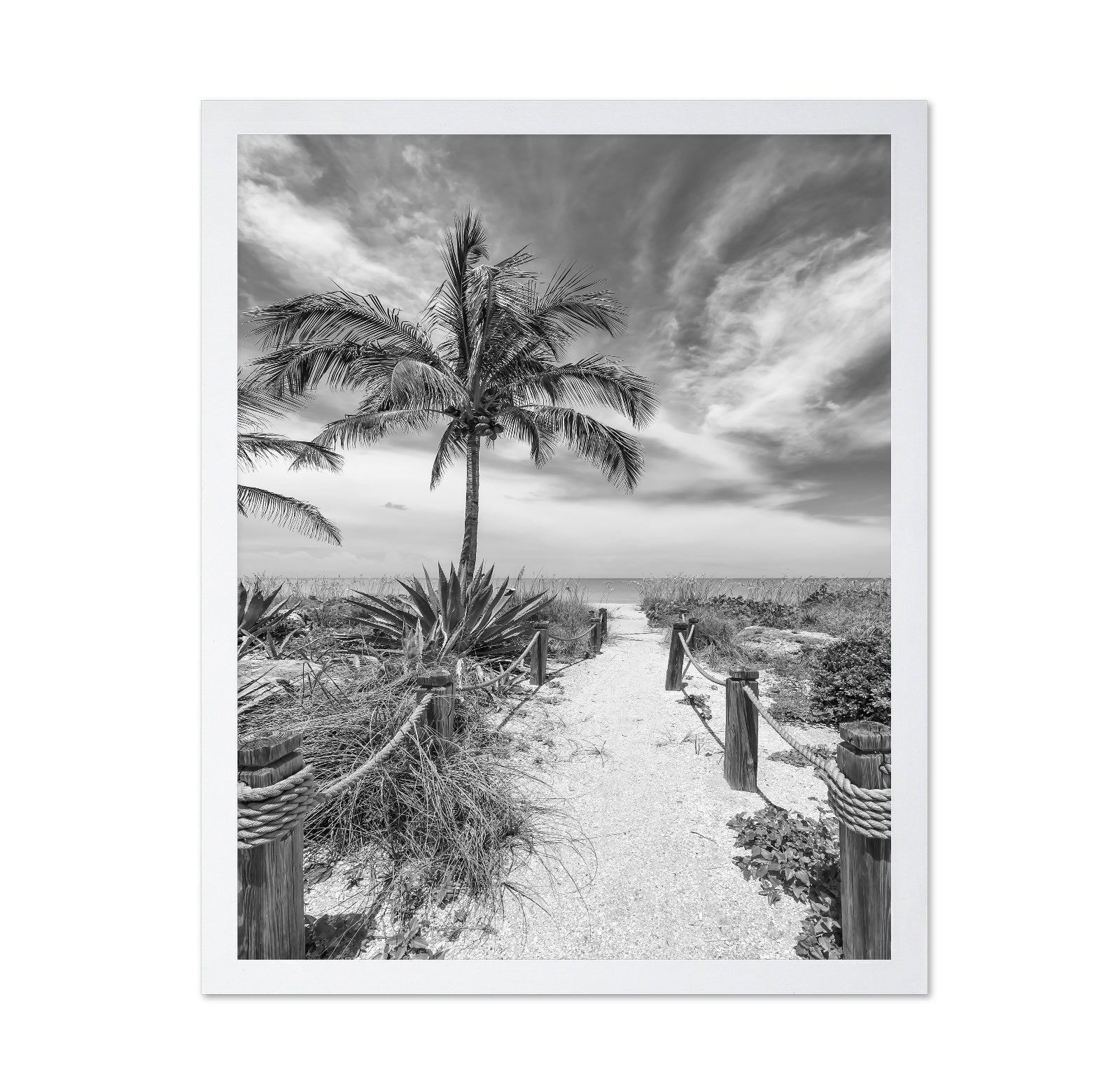 Tropical Beach Path