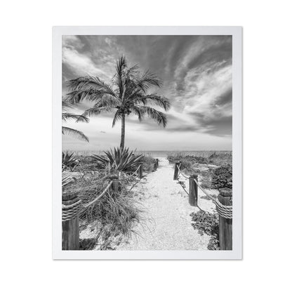 Tropical Beach Path
