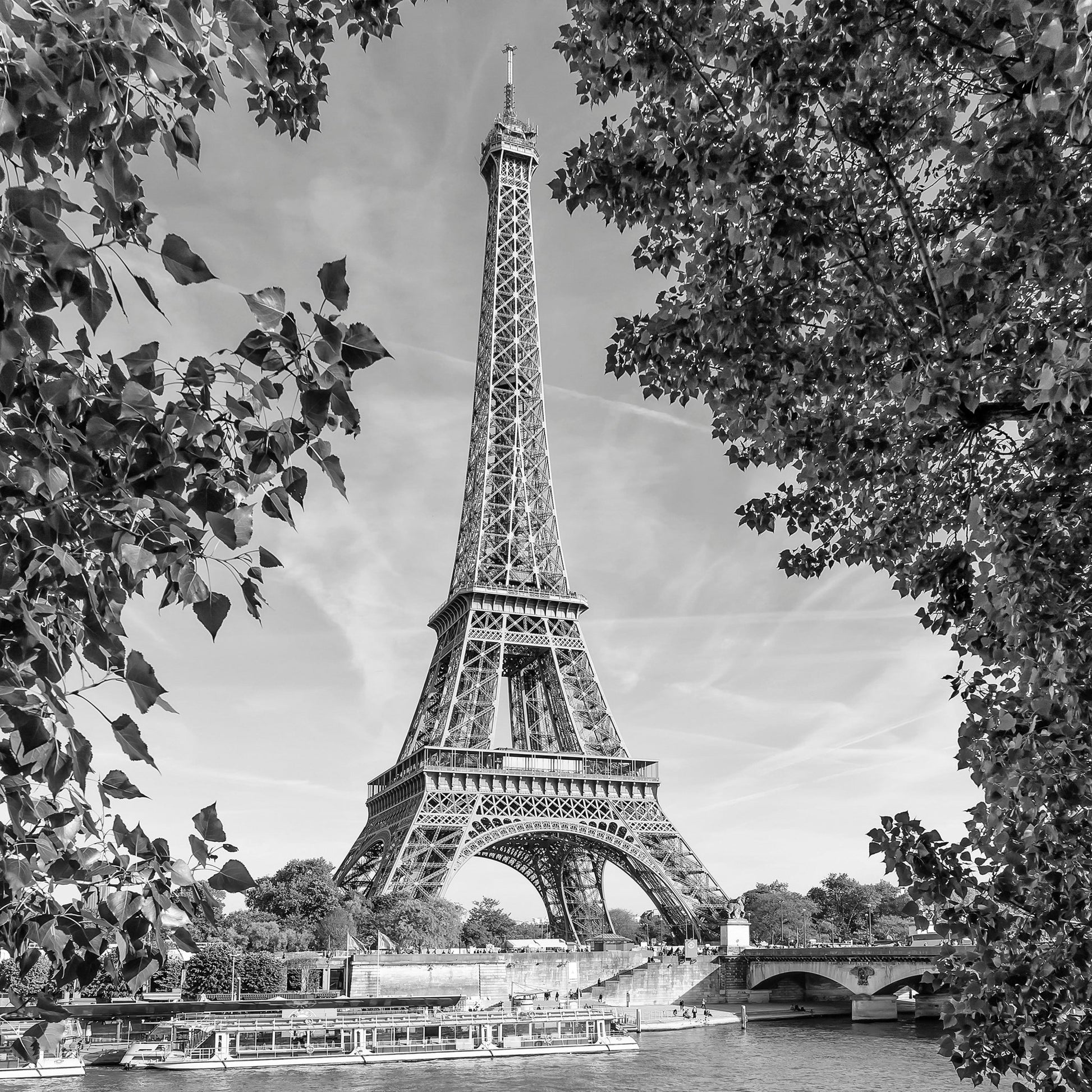 Eiffel Tower River View