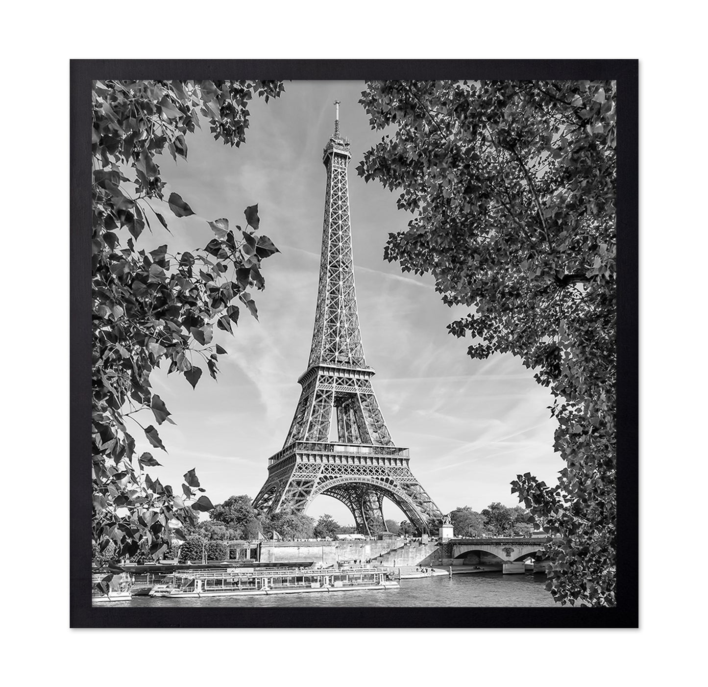 Eiffel Tower River View