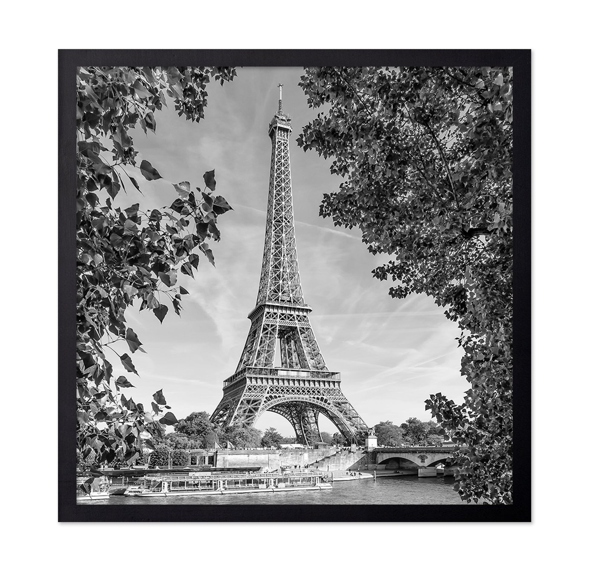 Eiffel Tower River View
