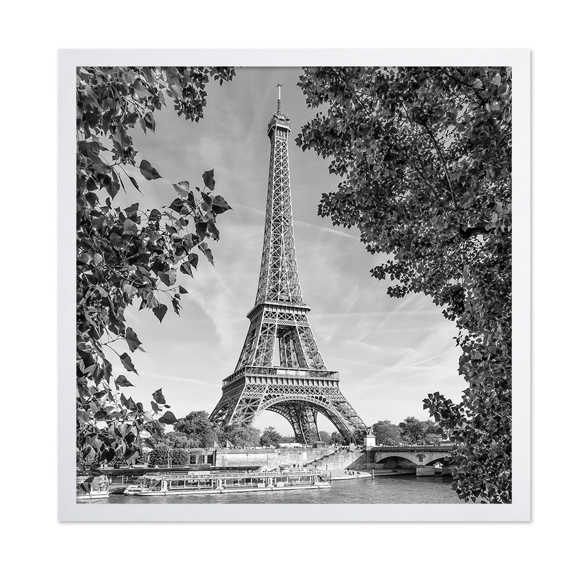 Eiffel Tower River View
