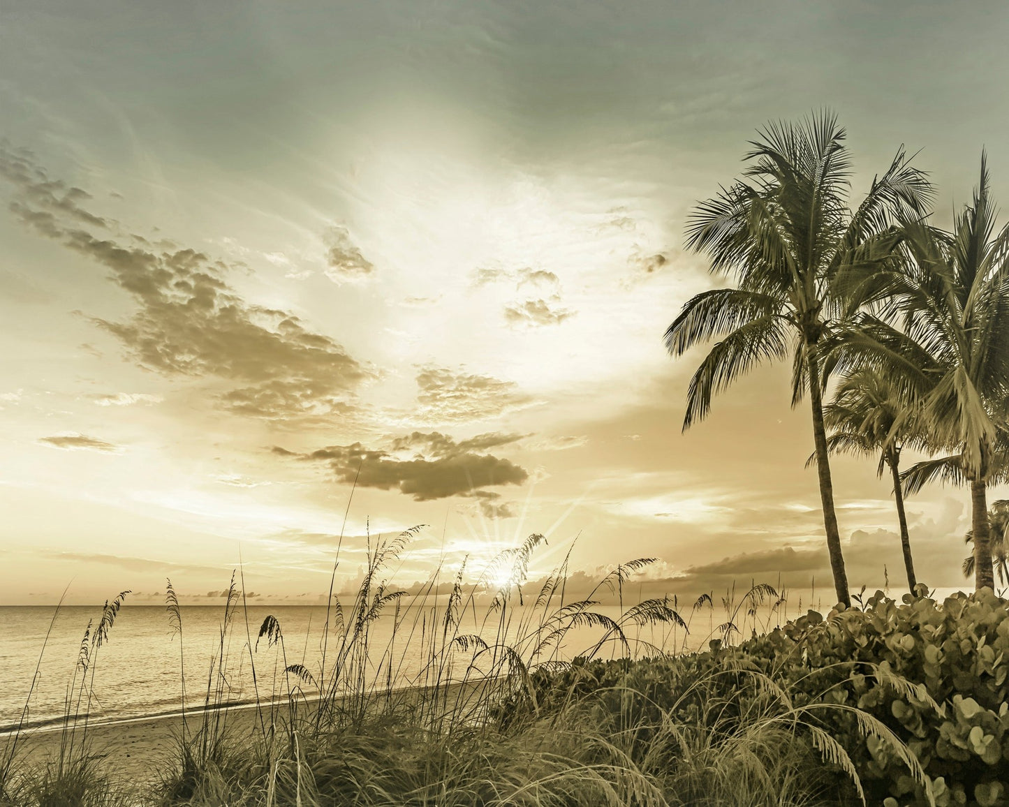 Golden Beach Sunset No1