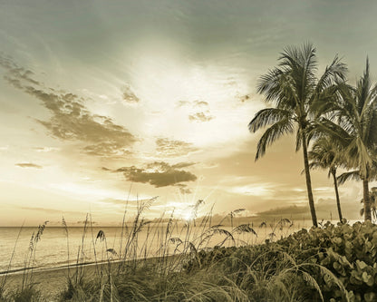 Golden Beach Sunset No1