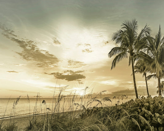 Golden Beach Sunset No1