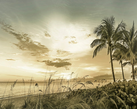 Golden Beach Sunset No1