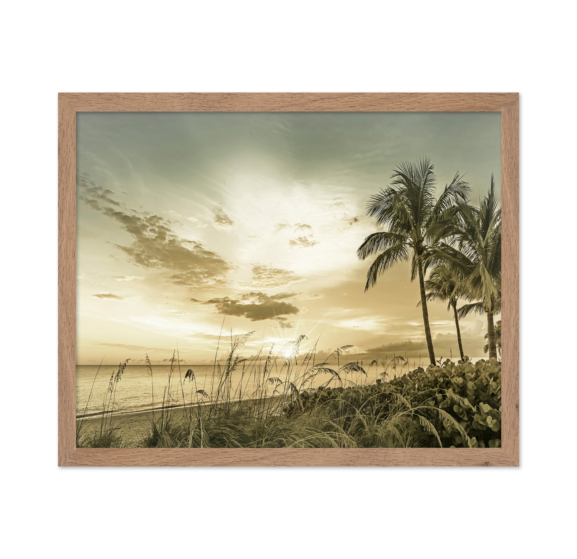Golden Beach Sunset No1