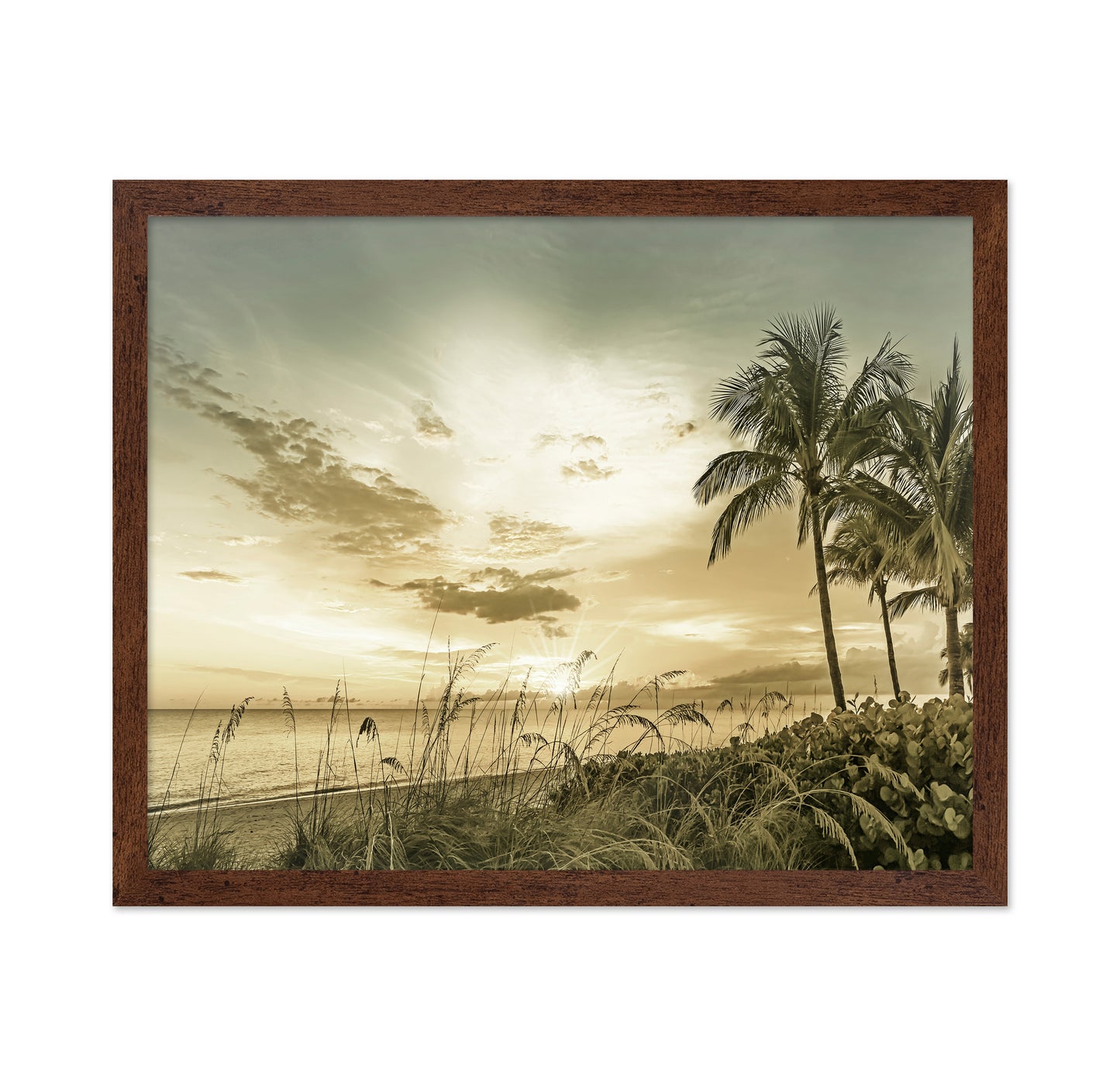 Golden Beach Sunset No1