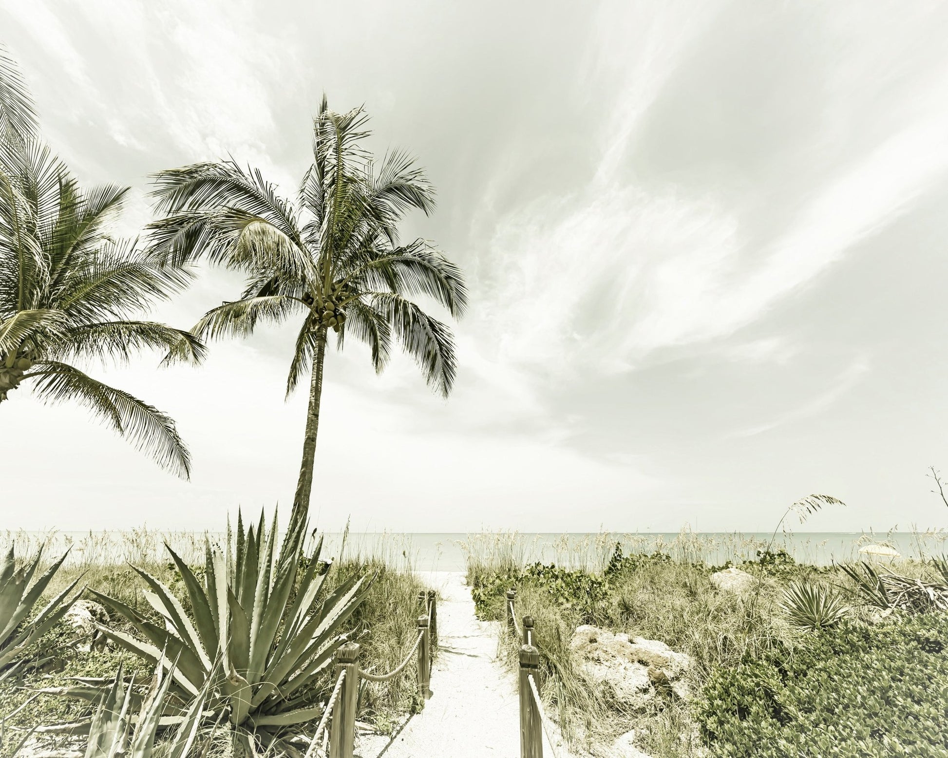 Quiet Beach Path