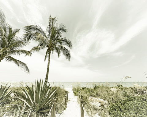 Quiet Beach Path