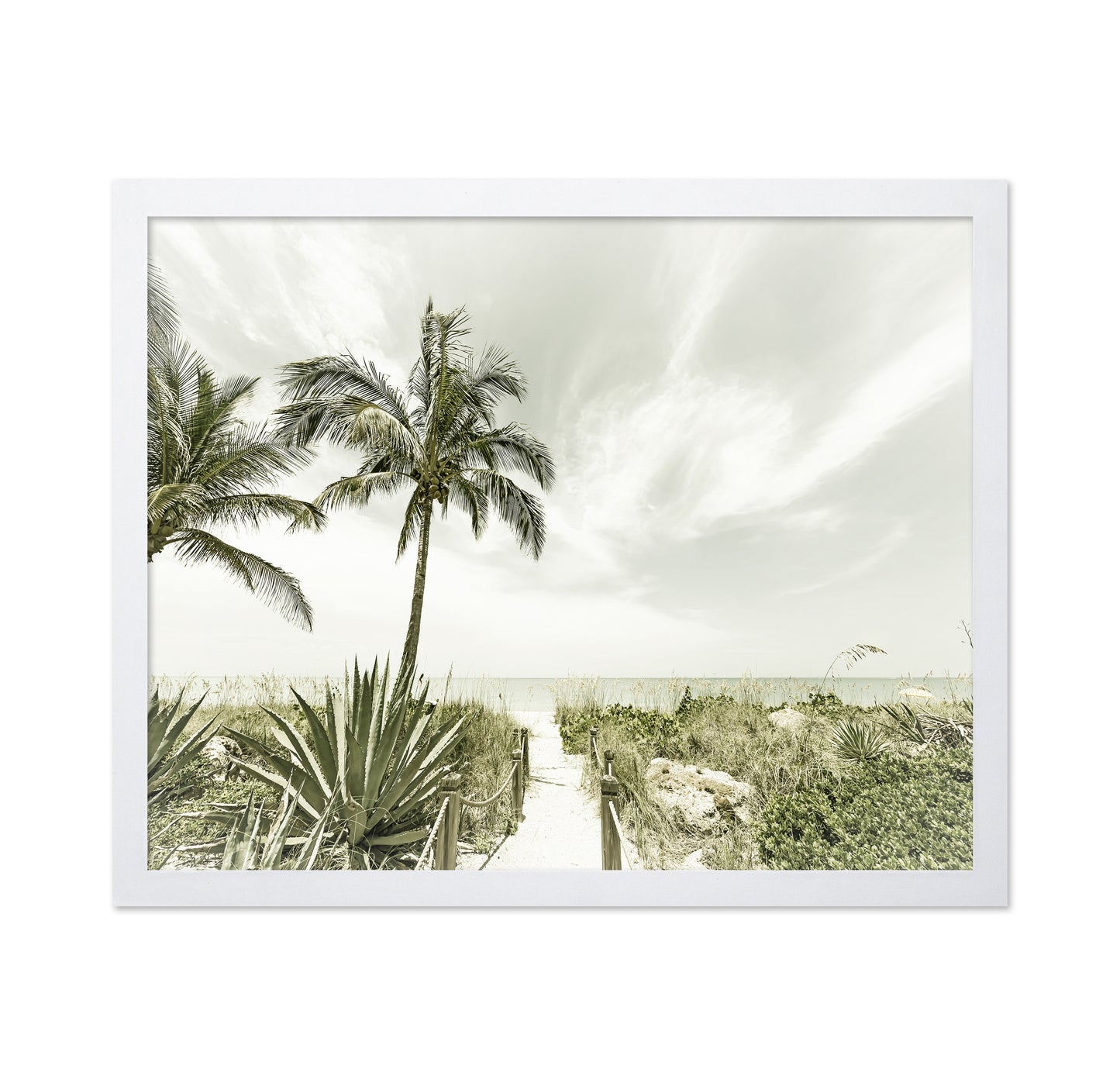 Quiet Beach Path