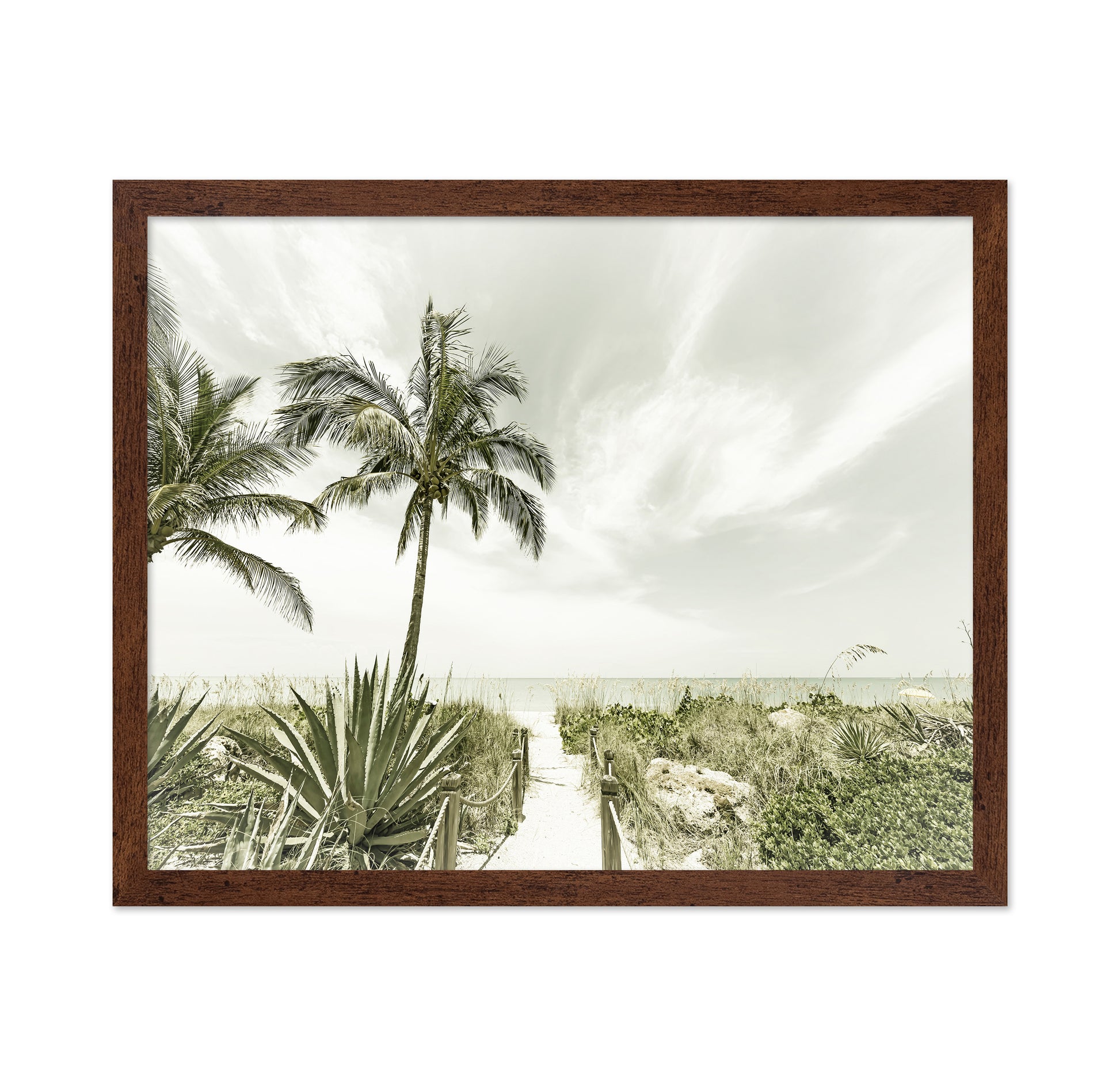 Quiet Beach Path