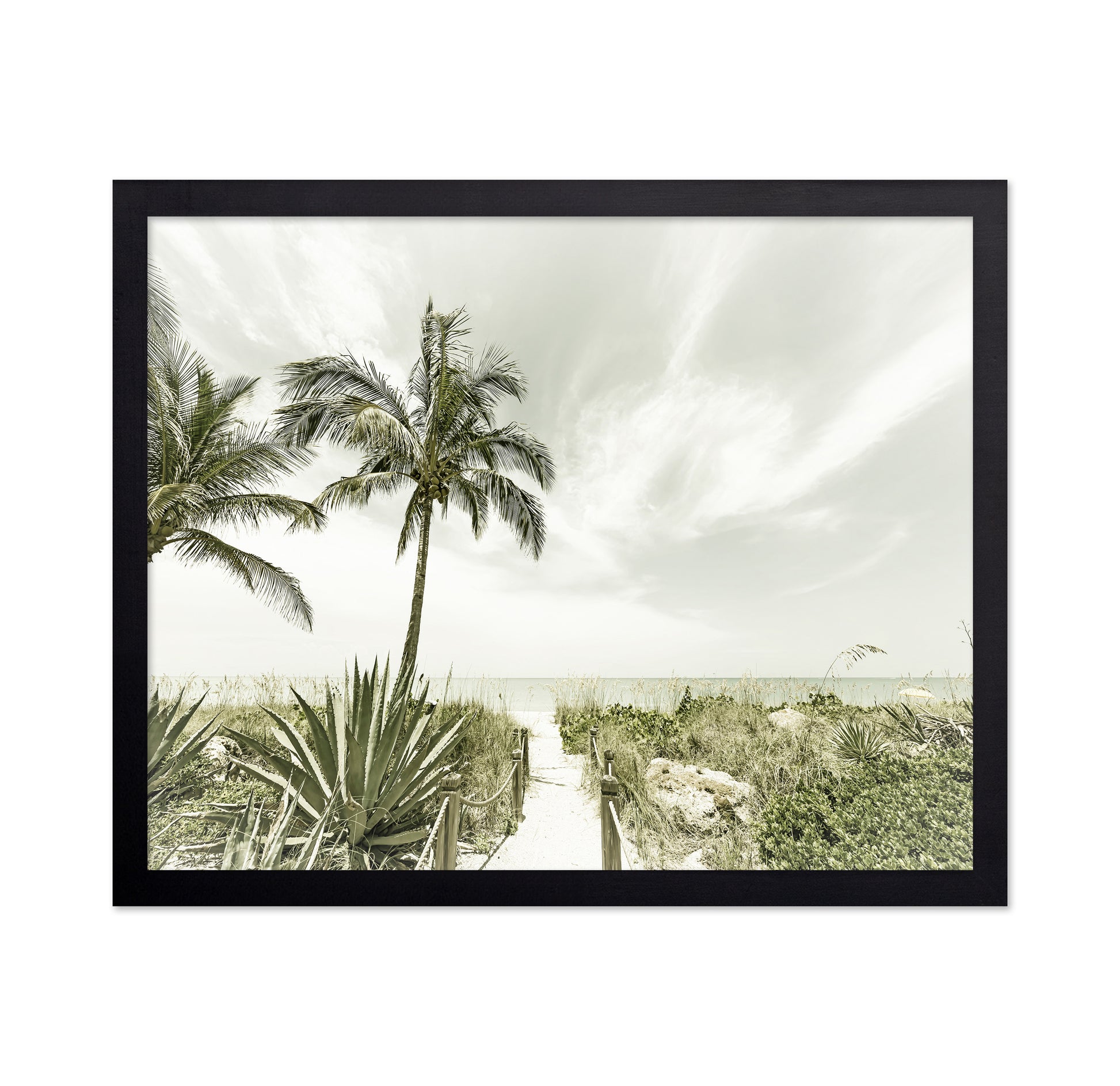 Quiet Beach Path