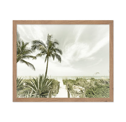 Quiet Beach Path