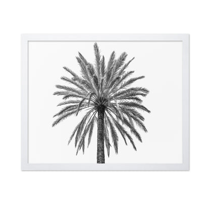 Lone Palm Tree