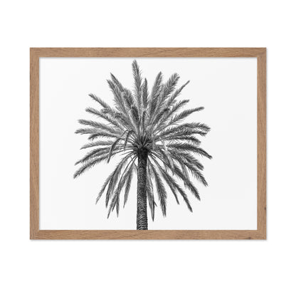 Lone Palm Tree
