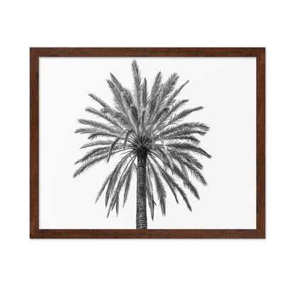 Lone Palm Tree