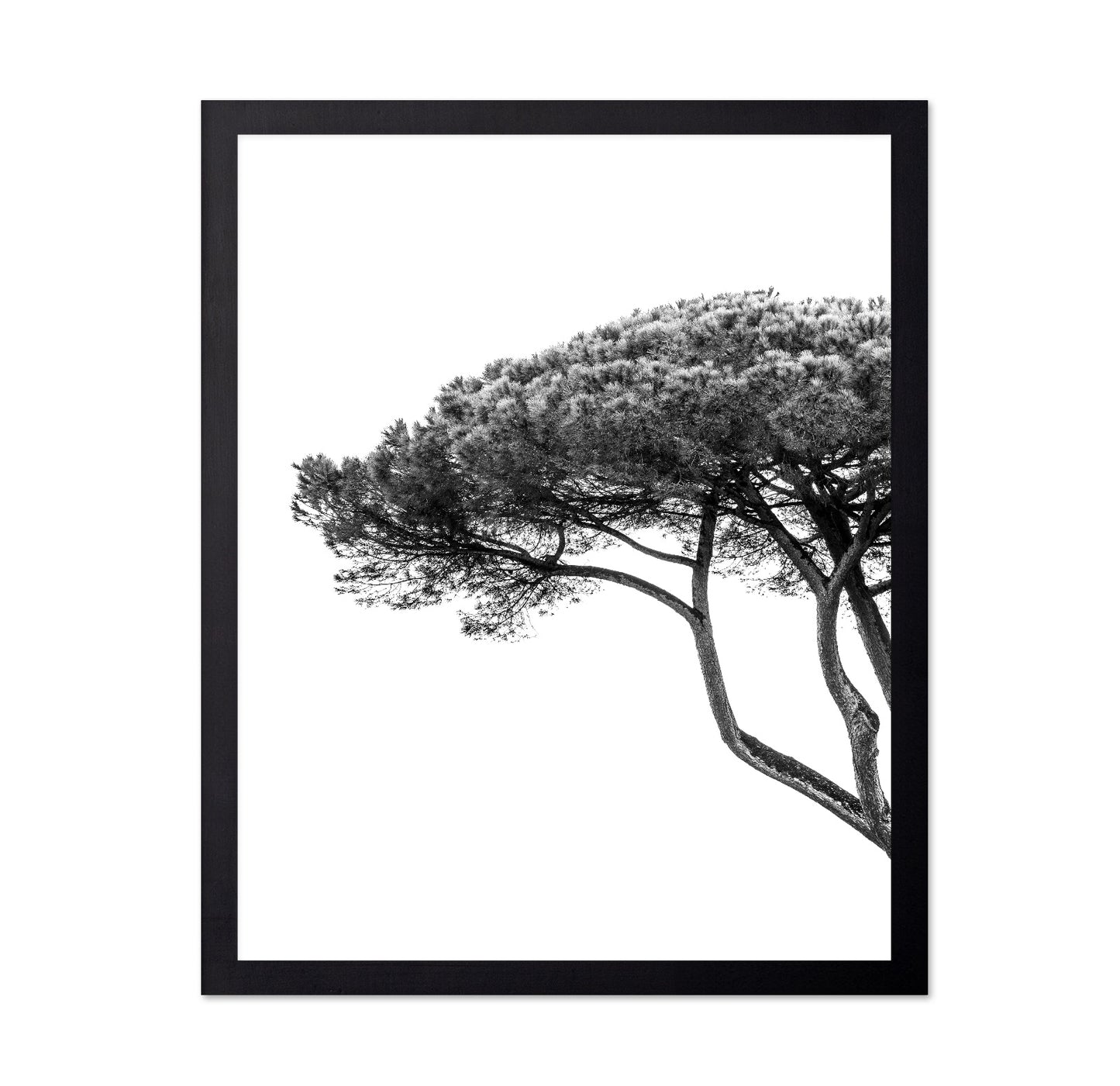 Minimalist Pine Tree