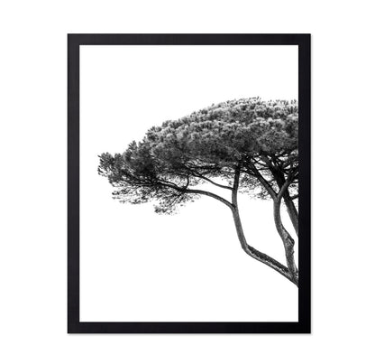 Minimalist Pine Tree