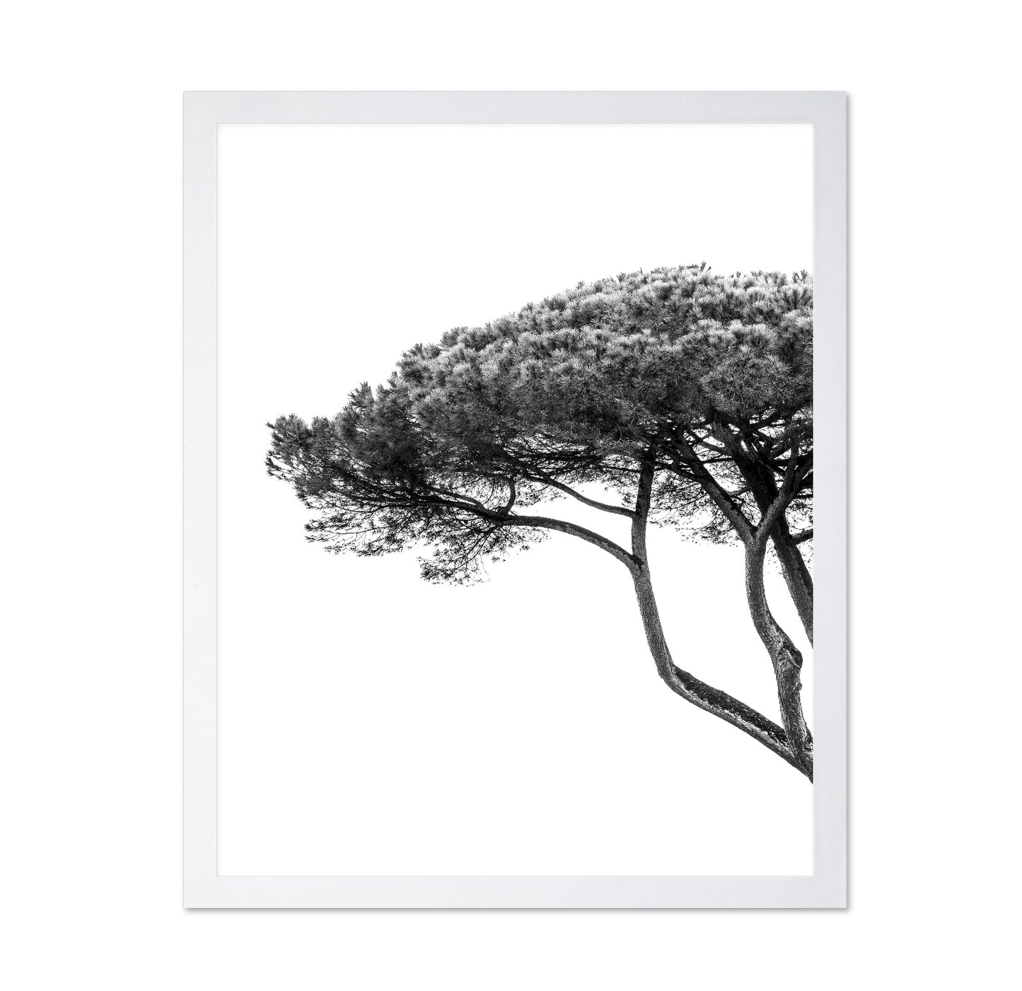 Minimalist Pine Tree
