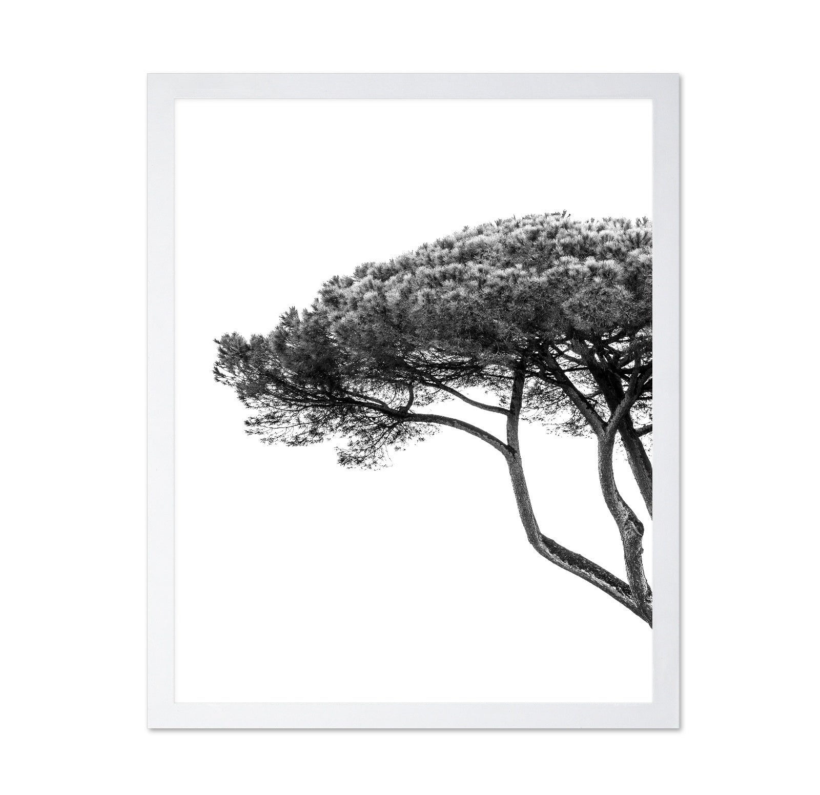 Minimalist Pine Tree