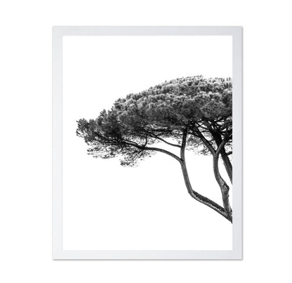 Minimalist Pine Tree