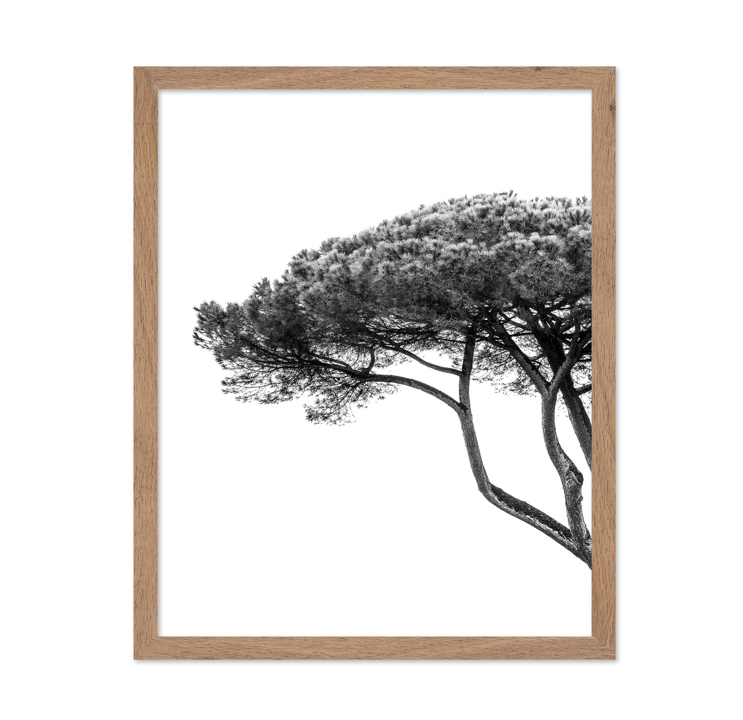 Minimalist Pine Tree