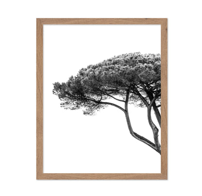 Minimalist Pine Tree