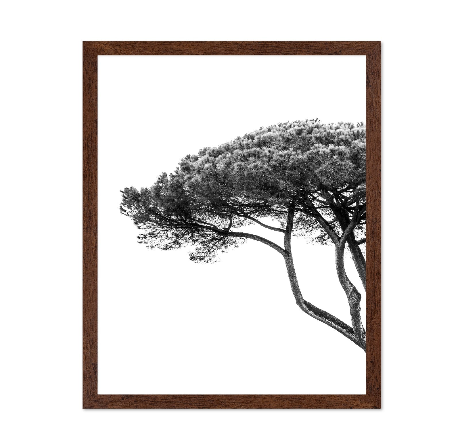 Minimalist Pine Tree