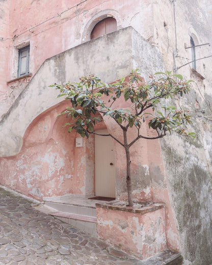 Pink Italian House