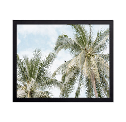 Tropical Palm Tree With Bird