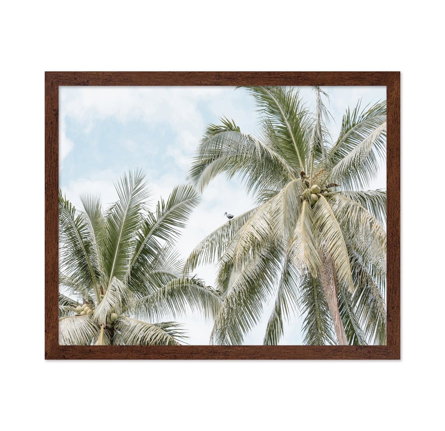 Tropical Palm Tree With Bird