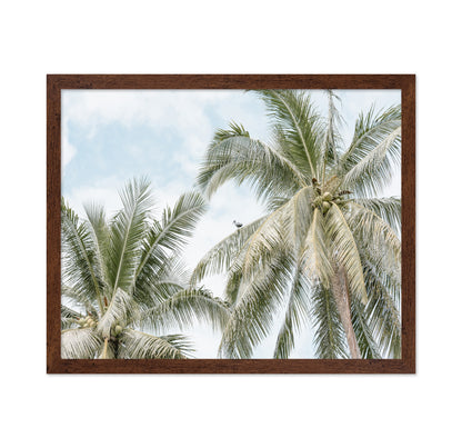 Tropical Palm Tree With Bird