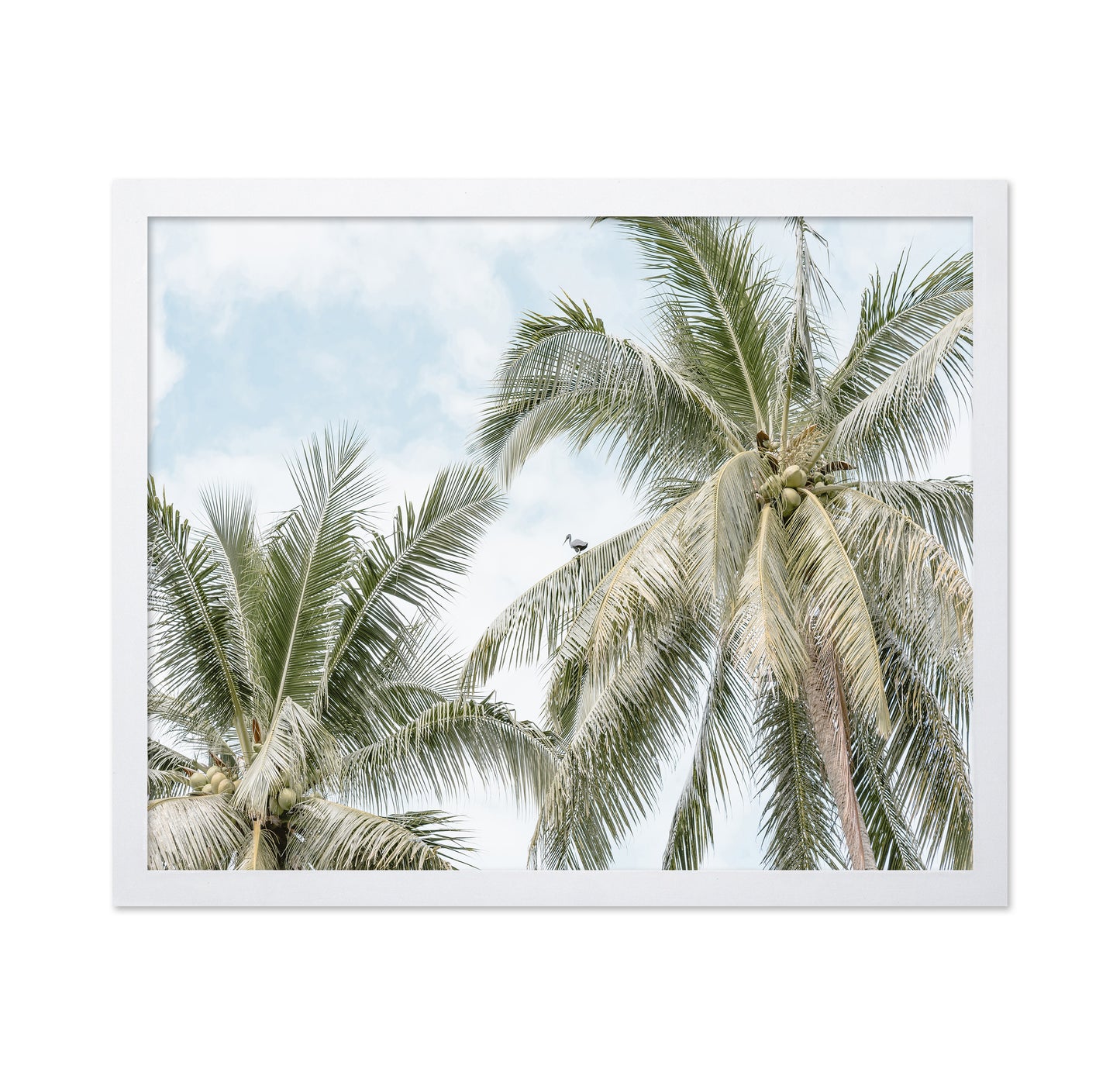 Tropical Palm Tree With Bird