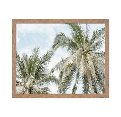 Tropical Palm Tree With Bird