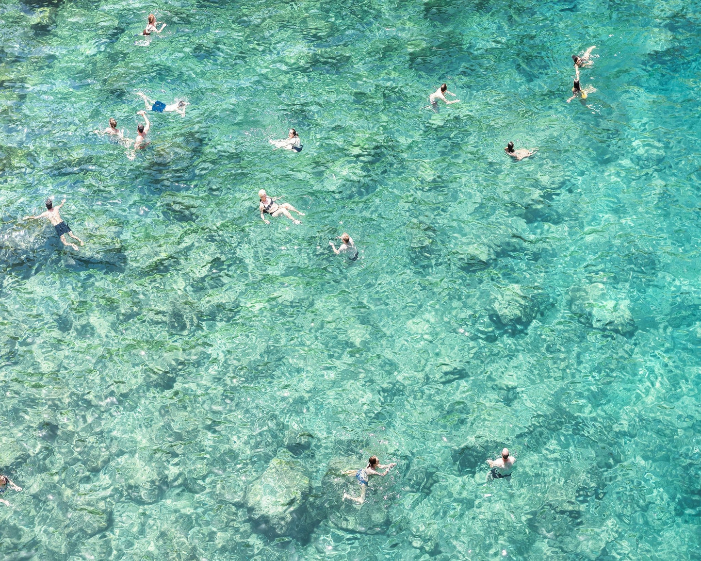 Clear Sea Swimmers
