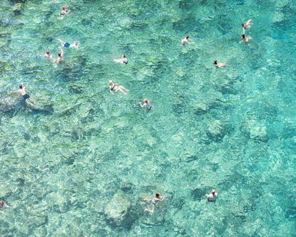 Clear Sea Swimmers